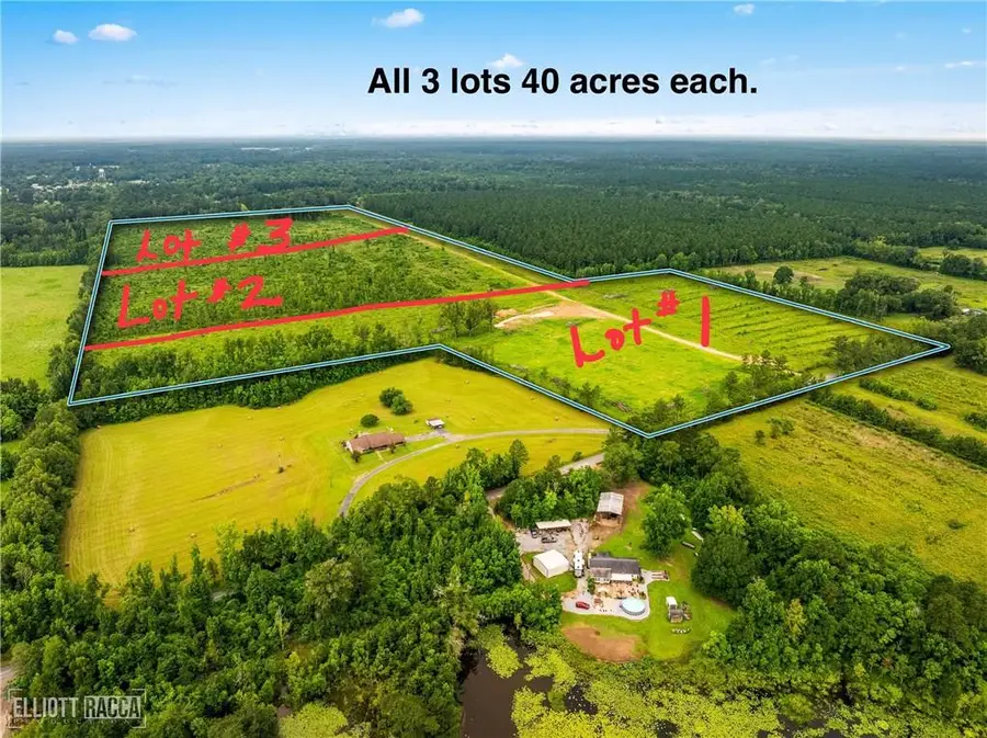 Mcnary Cutoff Lot 1 Road, Glenmora, LA 71433 - #2