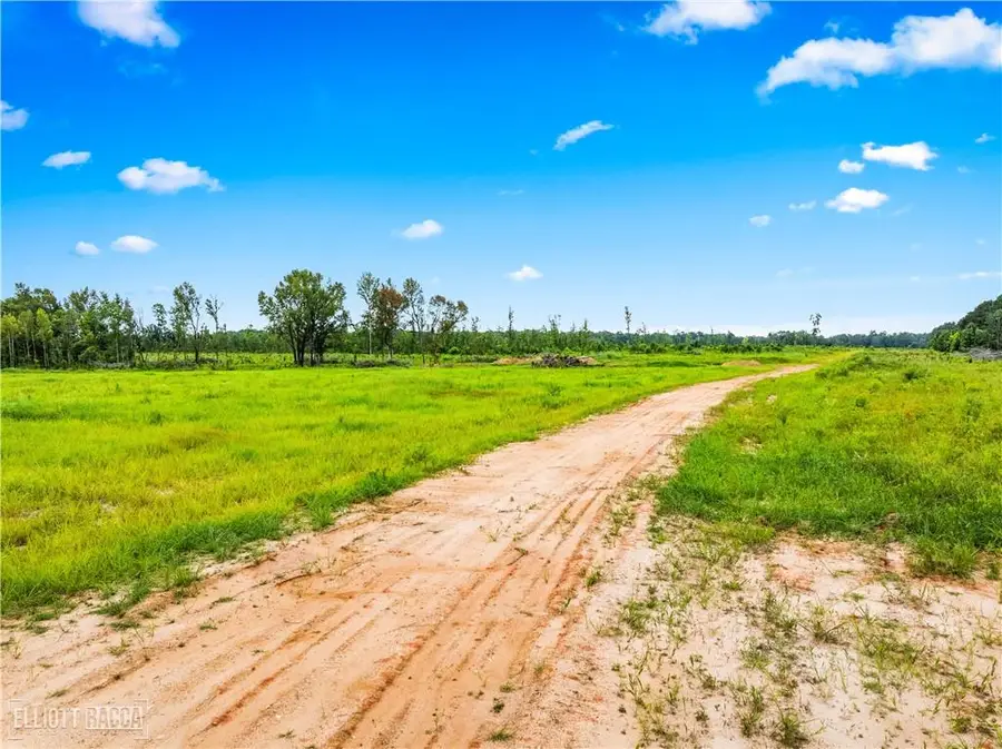 Mcnary Cutoff Lot 1 Road, Glenmora, LA 71433 - #3