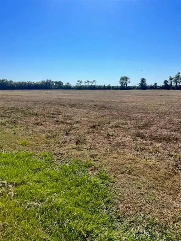 TBD Hwy 115 W Highway, Bunkie, LA 71322 - #3