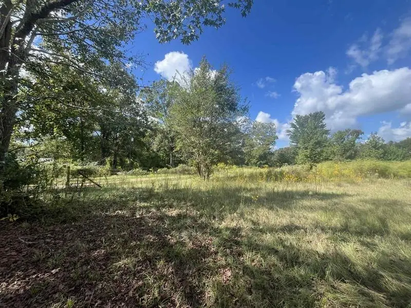 96 Borland Road, Deville, LA 71328 - #2