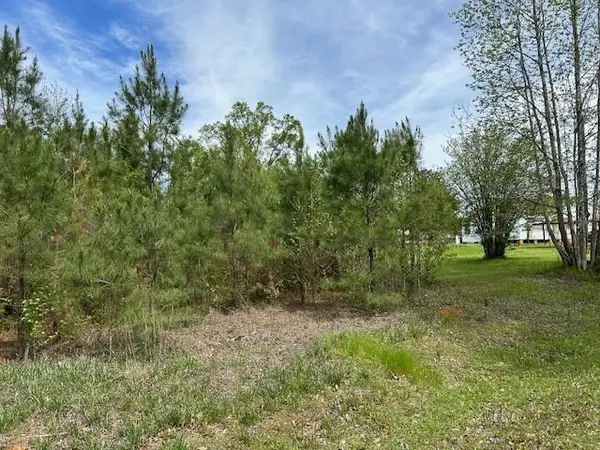 0 Beeson Drive, Ball, LA 71405