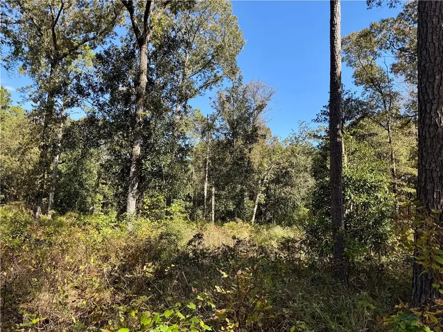 0 David Burns Road, Boyce, LA 71409 - #2