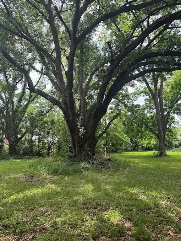 5119 N. Bolton Avenue, Alexandria, LA 71303 - #1