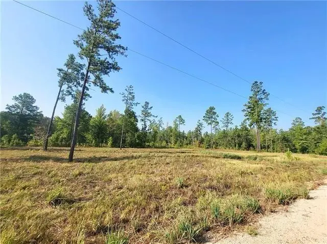 0 Hwy 117 Lot 10 Highway, Provencal, LA 71468 - #1