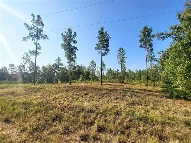 0 Hwy 117 Lot 10 Highway, Provencal, LA 71468 - #3