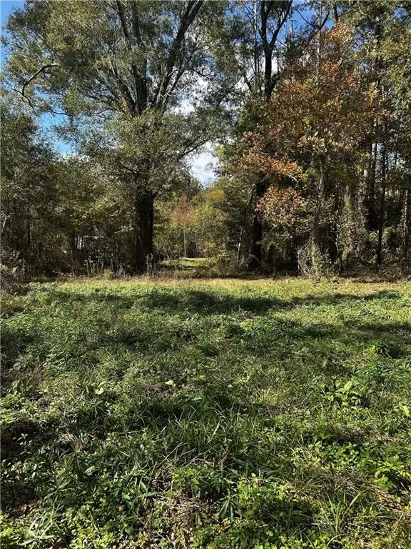 4357 Rigolette Road, Pineville, LA 71360 - #1