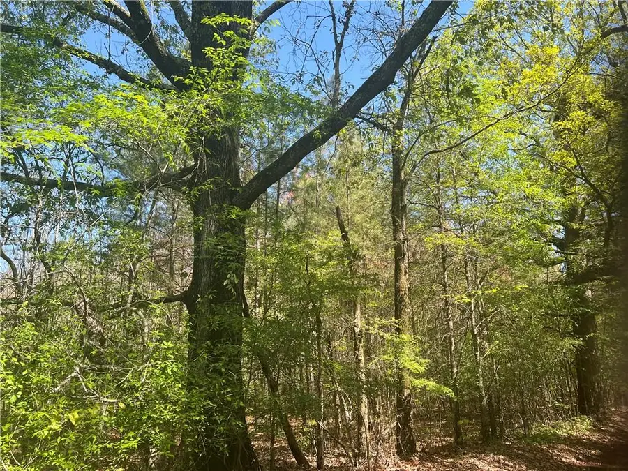 0 Nation Road, Deville, LA 71328 - #2