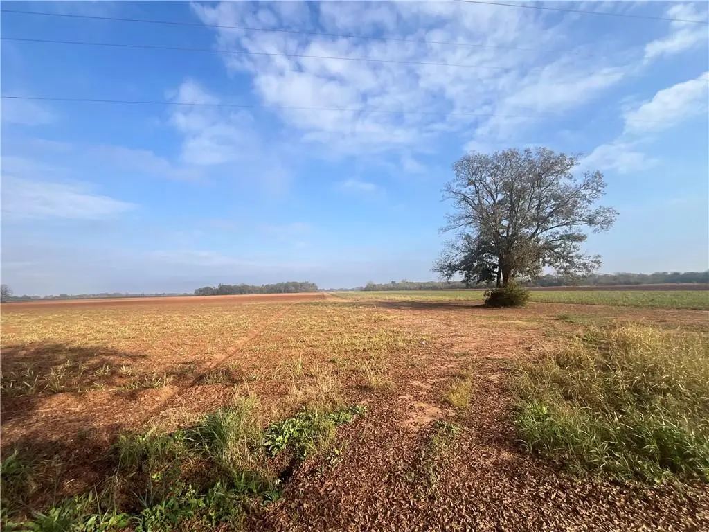 596 Crackville Road, Cottonport, LA 71327 - #1