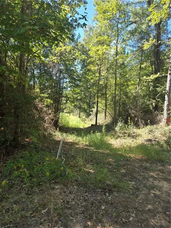 Riser Road, Sikes, LA 71473 - #3
