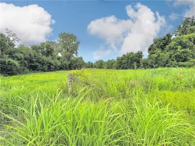 0 Eddie Williams Avenue, Alexandria, LA 71302 - #2