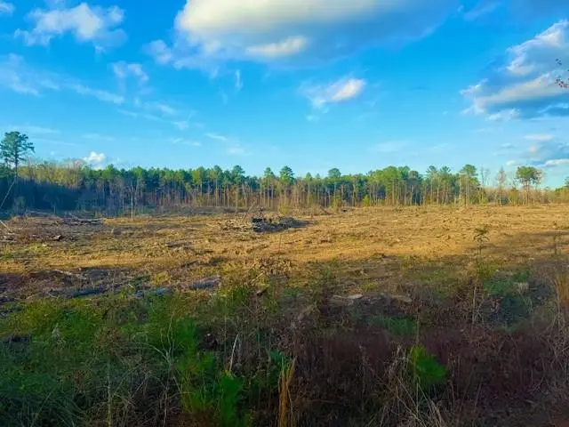 0 Ian Johnson Road, Boyce, LA 71409 - #1