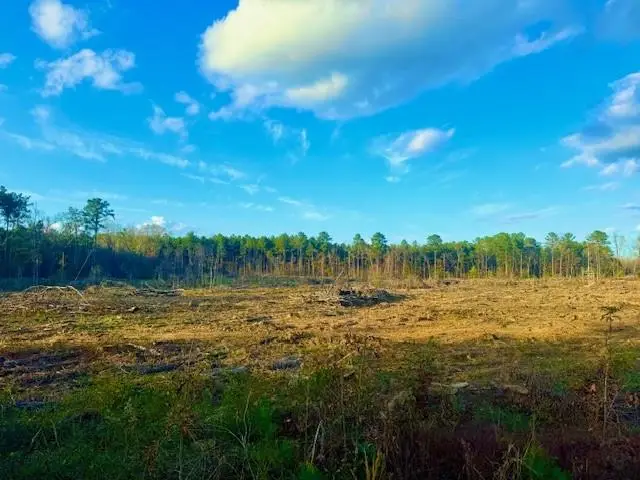 0 Ian Johnson Road, Boyce, LA 71409 - #2