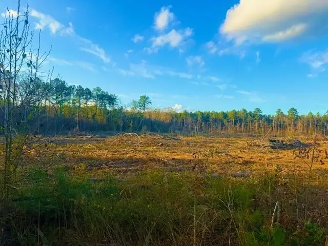 0 Ian Johnson Road, Boyce, LA 71409 - #3