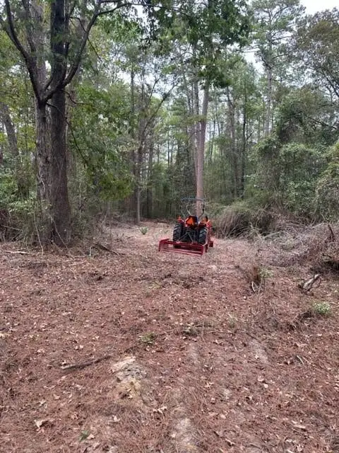 0 Williford Road, Ball, LA 71360 - #3