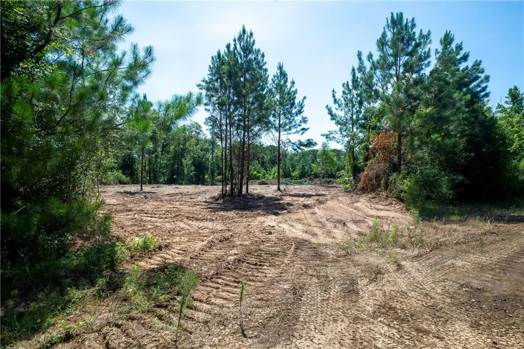 Lot 2 Ten Mile Road, Pitkin, LA 70656 - #1