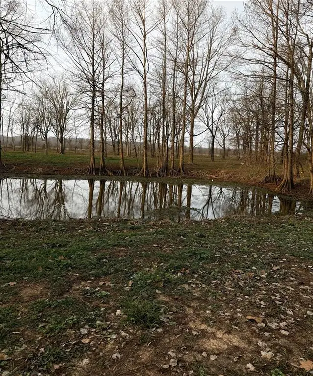 TBD Little River Road, Marksville, LA 71351 - #1