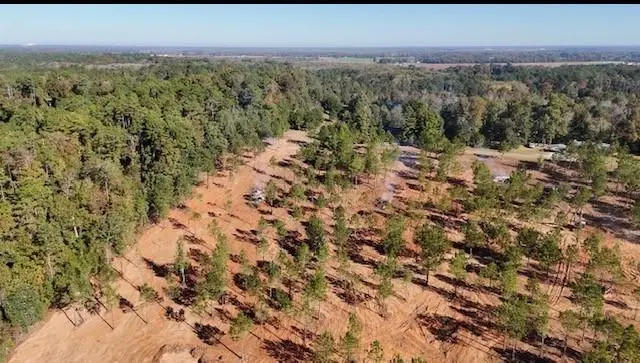 56 Kisatchie (lot1) Lane, Boyce, LA 71409 - #2