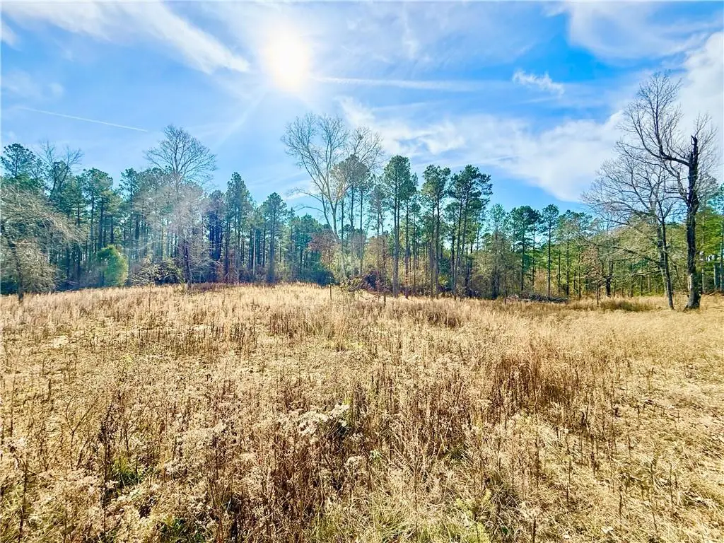 Windmill Drive, Jena, LA 71342 - #1