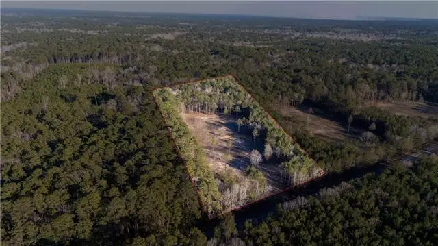 161 1199 Highway, Elmer, LA 71424 - #1