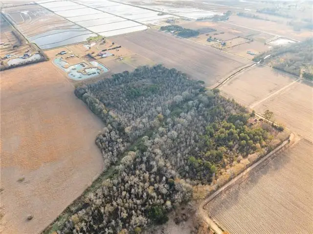 0 Elridge Young Road, Church Point, LA 70525 - #3