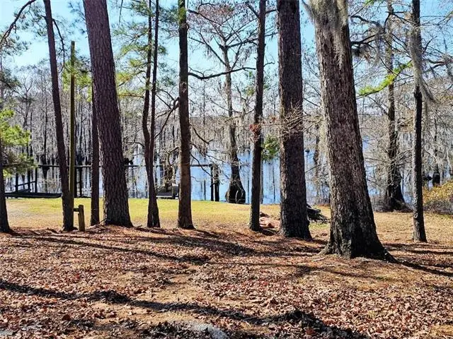 577 Collins Camp Road, Winnfield, LA 71483 - #2