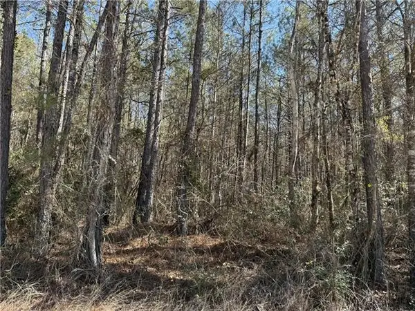 Tbd Carrier Road, Oakdale, LA 71463