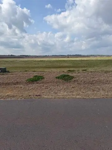 4574 Navy's Way, Boyce, LA 71409 - #2