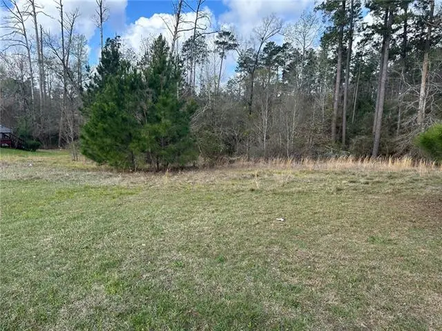 205 Chloe Lane, Pineville, LA 71360 - #2