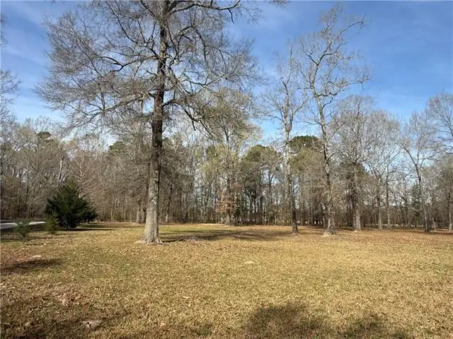 TBD Varvarosky- Road, Deville, LA 71328 - #1