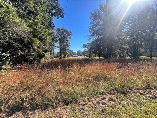 6906 Highway 165, Ball, LA 71405 - #3