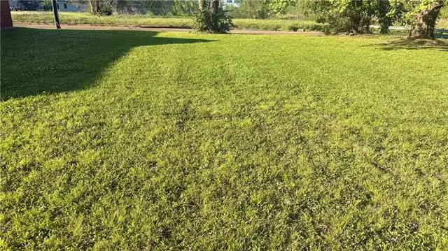 1107 Turregano Street, Alexandria, LA 71301 - #1