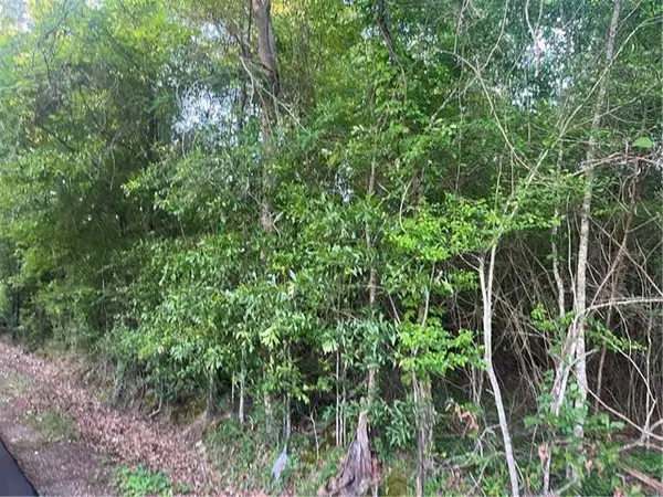 Faith Mission Baptist Road, Marksville, LA 71351