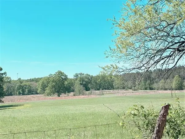 307 Big Island Loop, Deville, LA 71328