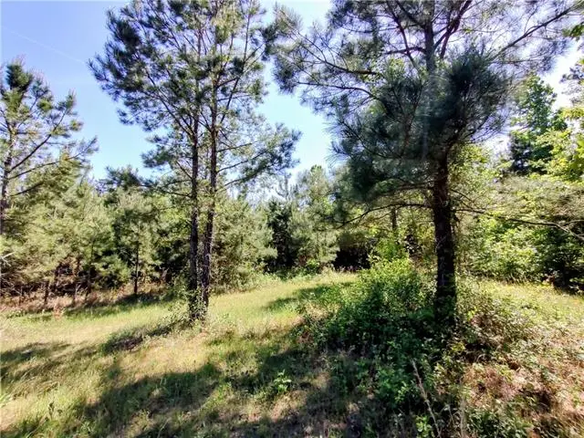 TBD Posey Road, Natchitoches, LA 71457 - #1