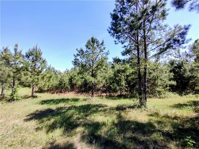 TBD Posey Road, Natchitoches, LA 71457 - #2