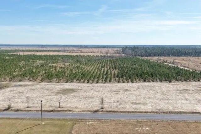 #2 Elengton Road, Deridder, LA 70634 - #2