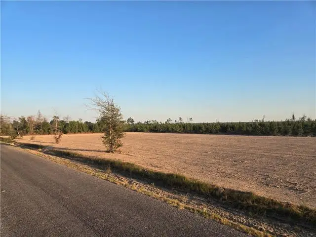 #3 Elengton Road, Deridder, LA 70634 - #3