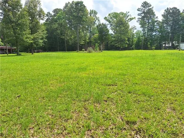 18 Nadrchal Road, Deville, LA 71328 - #1