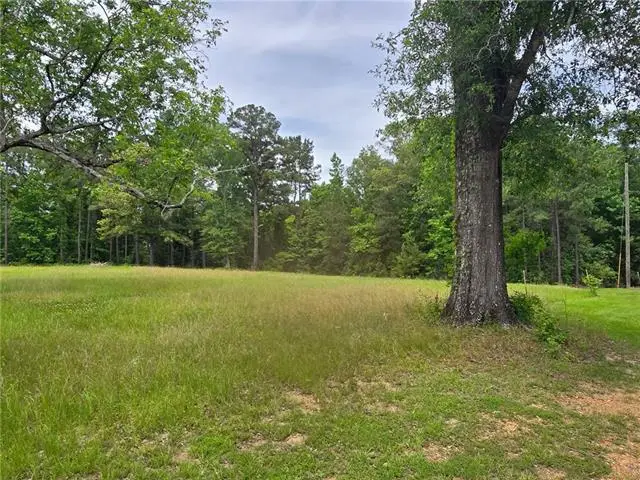 8663 Hwy 165 Highway, Pollock, LA 71467 - #2