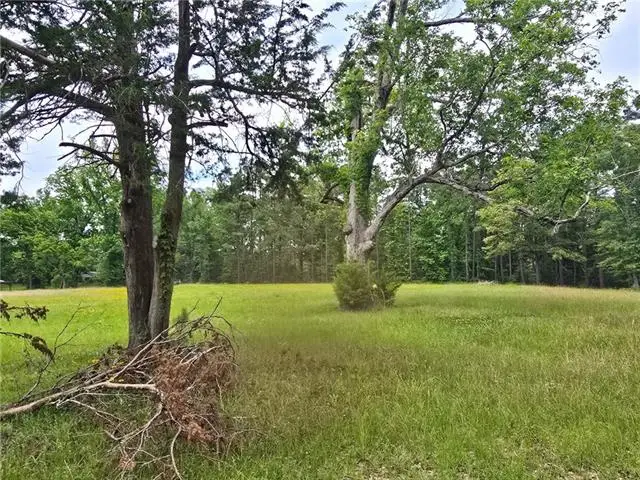 8663 Hwy 165 Highway, Pollock, LA 71467 - #3