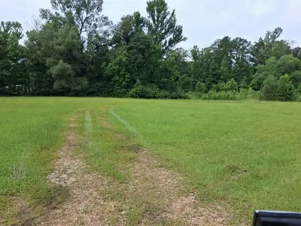 1307 Brinks Lane, Ball, LA 71405
