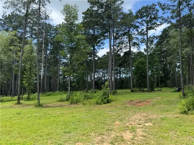 1196 Carpenter Street, Jena, LA 71342 - #2