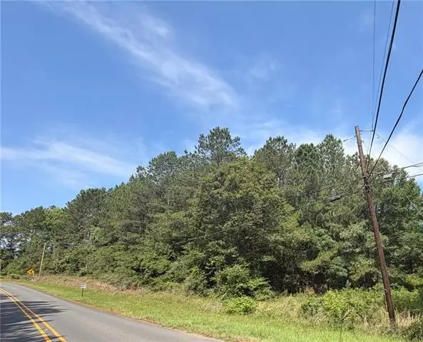 TBD Jeane Chapel Road, Leesville, LA 71446