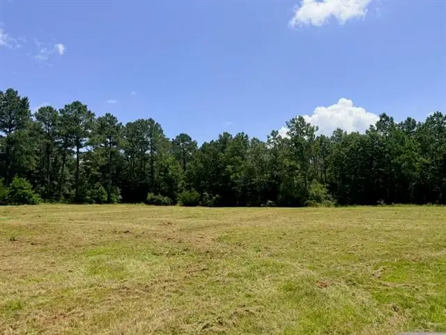 1916 Bayou Maria Road, Pineville, LA 71360 - #3