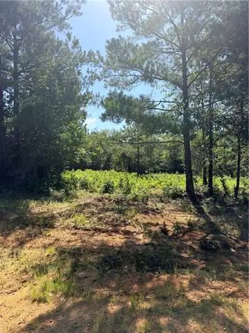 224 Hughart Road, Pollock, LA 71467