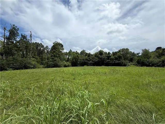 TBD Dupree Street, Pineville, LA 71360 - #1