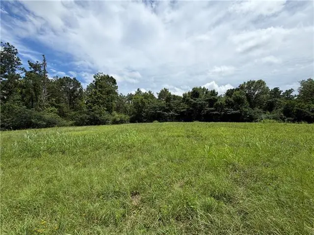 TBD Dupree Street, Pineville, LA 71360 - #3