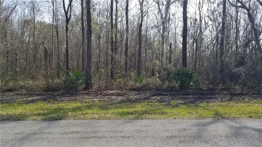 South Fashion Boulevard, Hahnville, LA 70057 - #2
