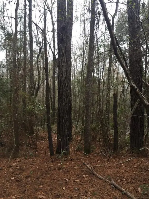 TBD La Hwy 1064 Road, Hammond, LA 70401 - #3