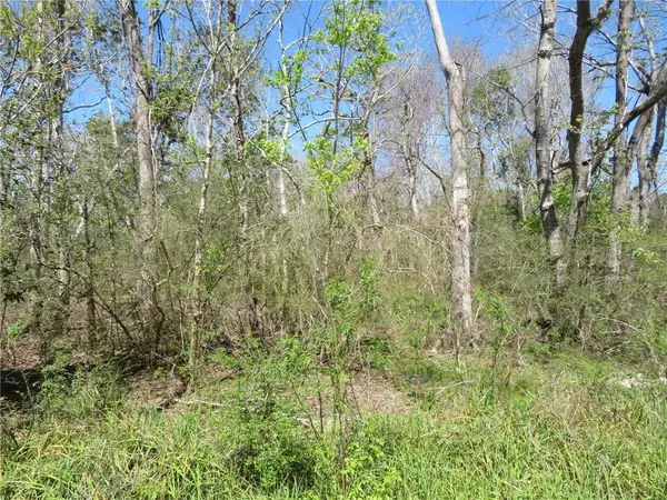 Stanton Road, New Orleans, LA 70131